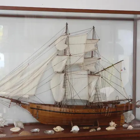 Vela Rina Iv Ferienhaus Drvenik Mali